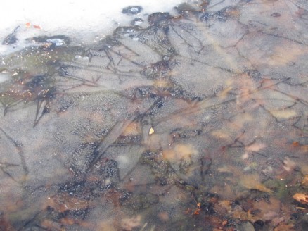 Patterns in the ice on the lake