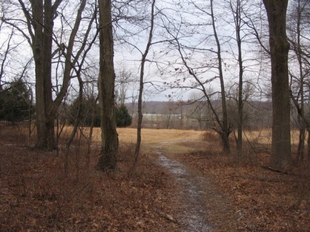 view across a field to Centerline Stables